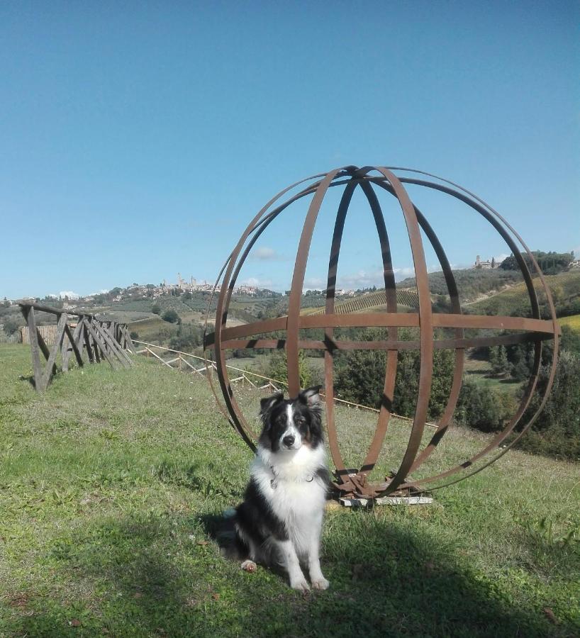 הוילה סן ג'ימיניאנו Agriturismo Poggiacolle מראה חיצוני תמונה