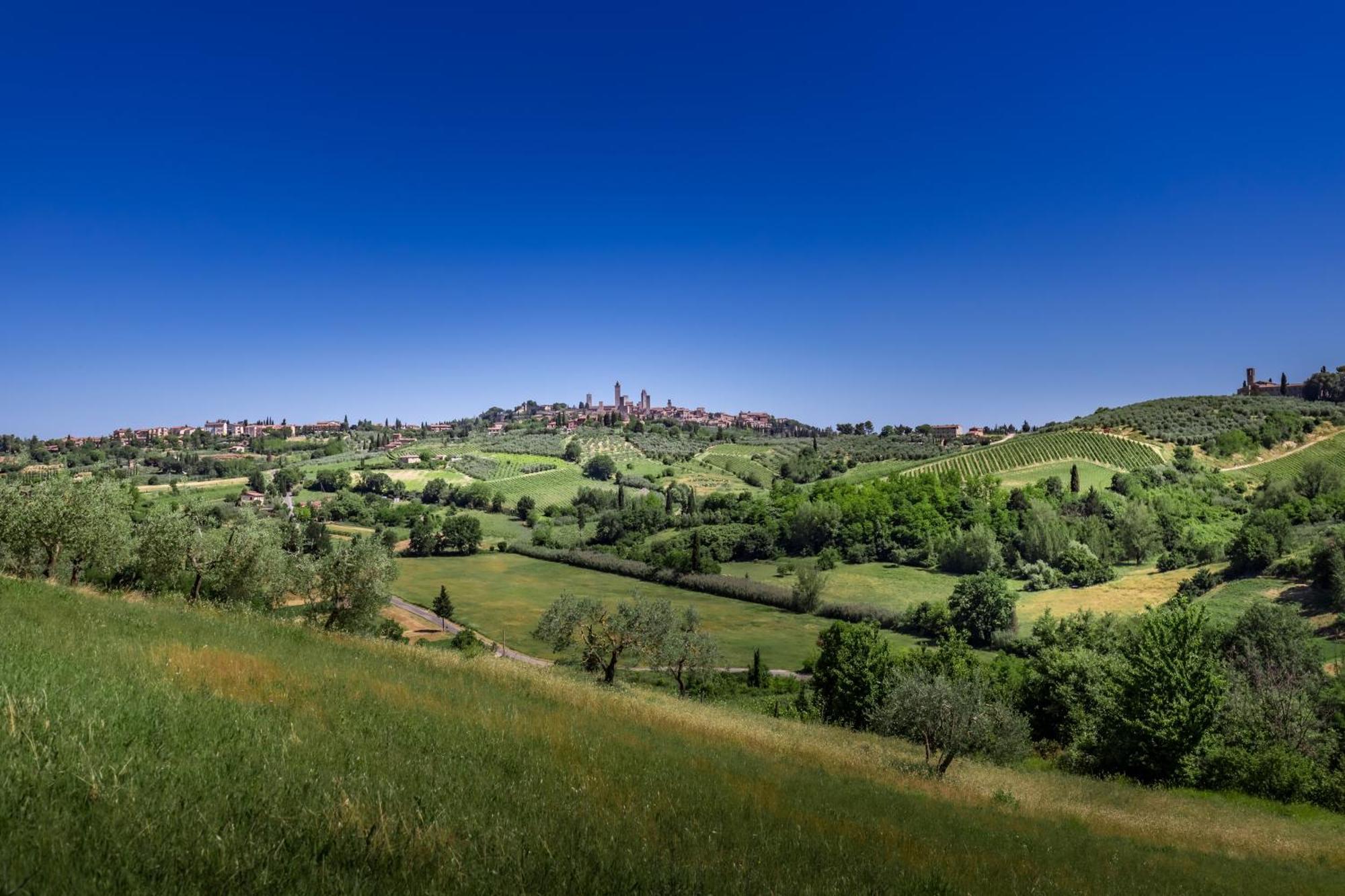 הוילה סן ג'ימיניאנו Agriturismo Poggiacolle מראה חיצוני תמונה